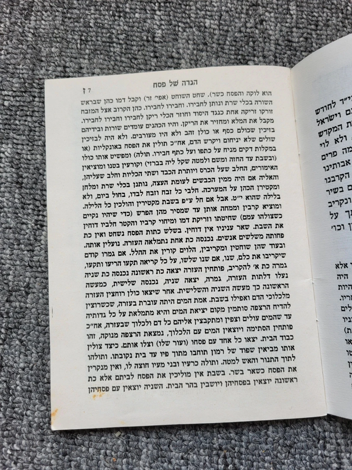 Libro de Haggada de Pésaj - Edición Nadjar - Judaica Ilustración Hebreo – photo 5